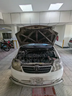 টয়োটা করোল্লা ২০০৪ সাদা