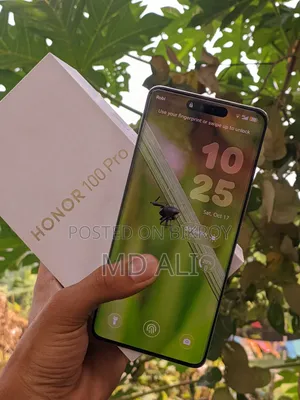 Honor 100 Pro 256 জিবি
