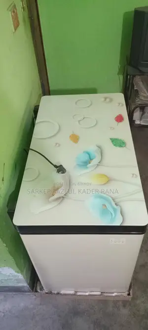 ওয়ালটন ২০৫ লিটার ডিপ ফ্রিজার