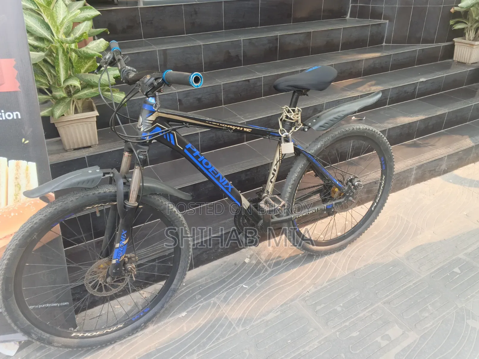 ব্যবহারিত বাইসাইকেল
