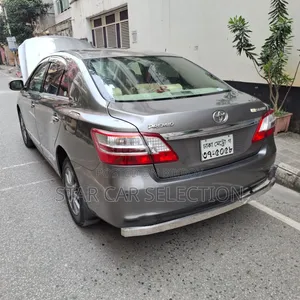 Toyota Premio 2010 Gray