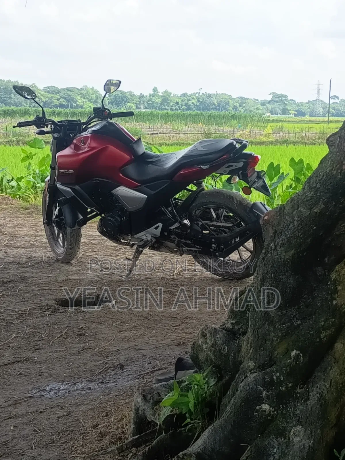 ইয়ামাহা এফজেডএস ভি৩ ২০২২ লাল