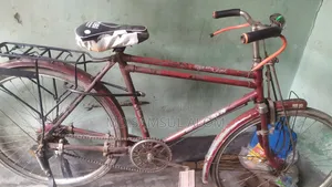বাইসাইকেল।