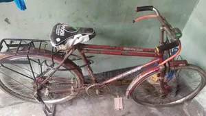 বাইসাইকেল।