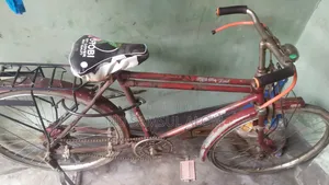 বাইসাইকেল।