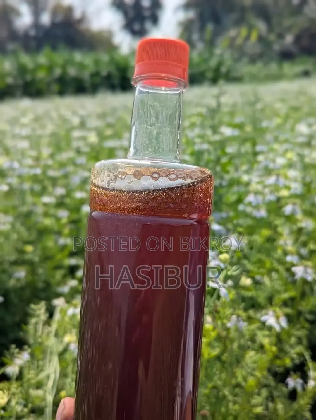 কালোজিরা ফুলের মধু (৫০০ গ্রাম B)