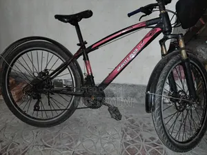 দুরন্ত বাইসাইকেল