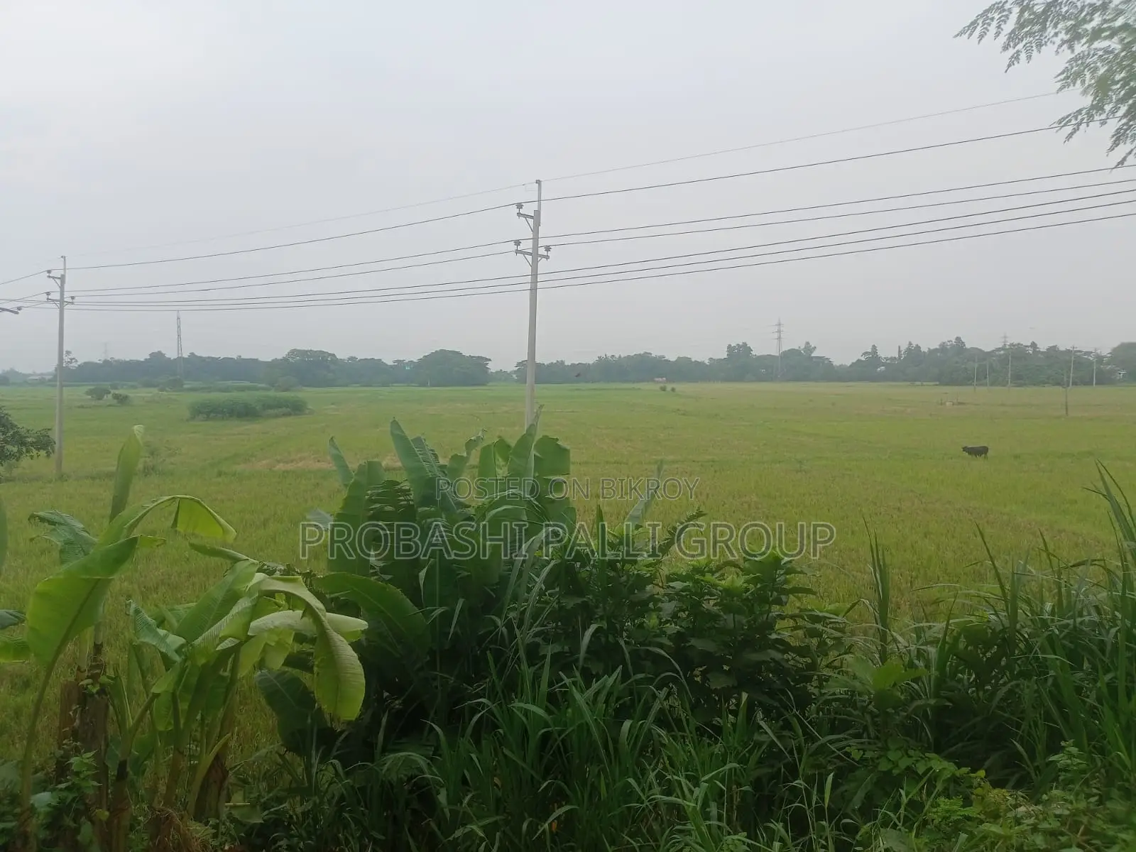বিনিয়োগ হোক নিরাপদ আবাসনে।