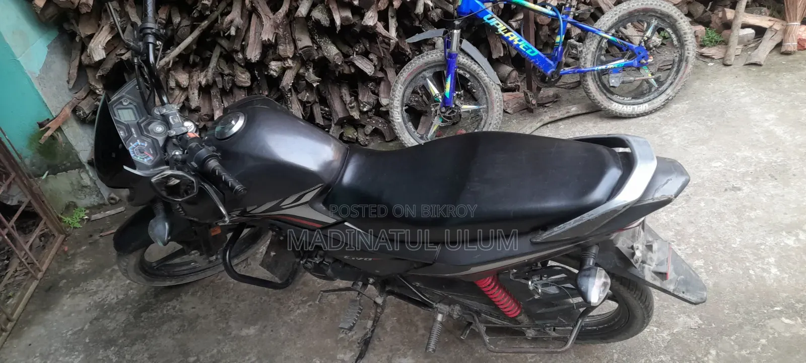 Honda Livo 2022 Purple
