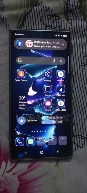 Samsung Galaxy S24 Ultra 256 GB Gray