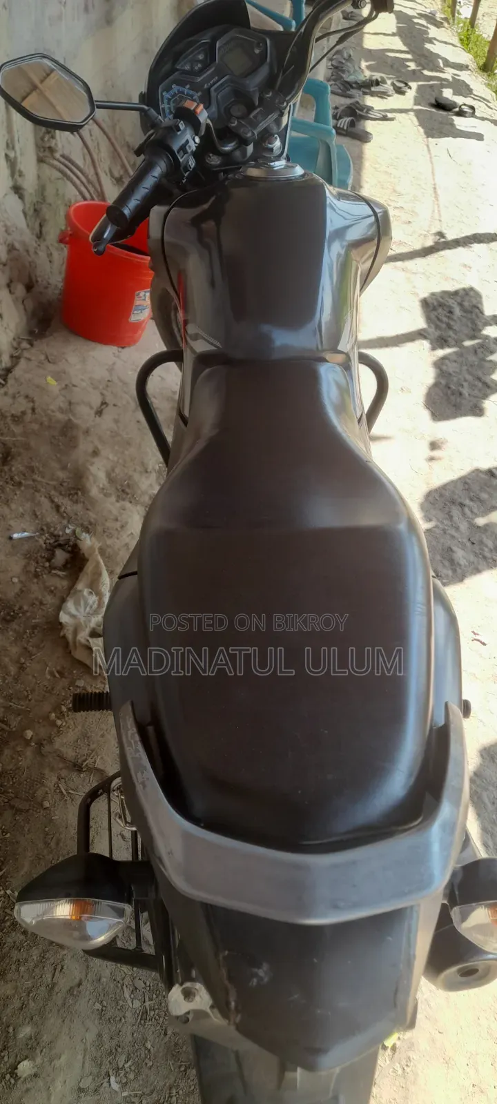 Honda Livo 2022 Purple