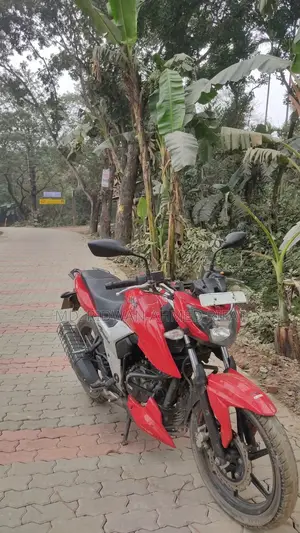 TVS Apache RTR 160 4V 2019 Red