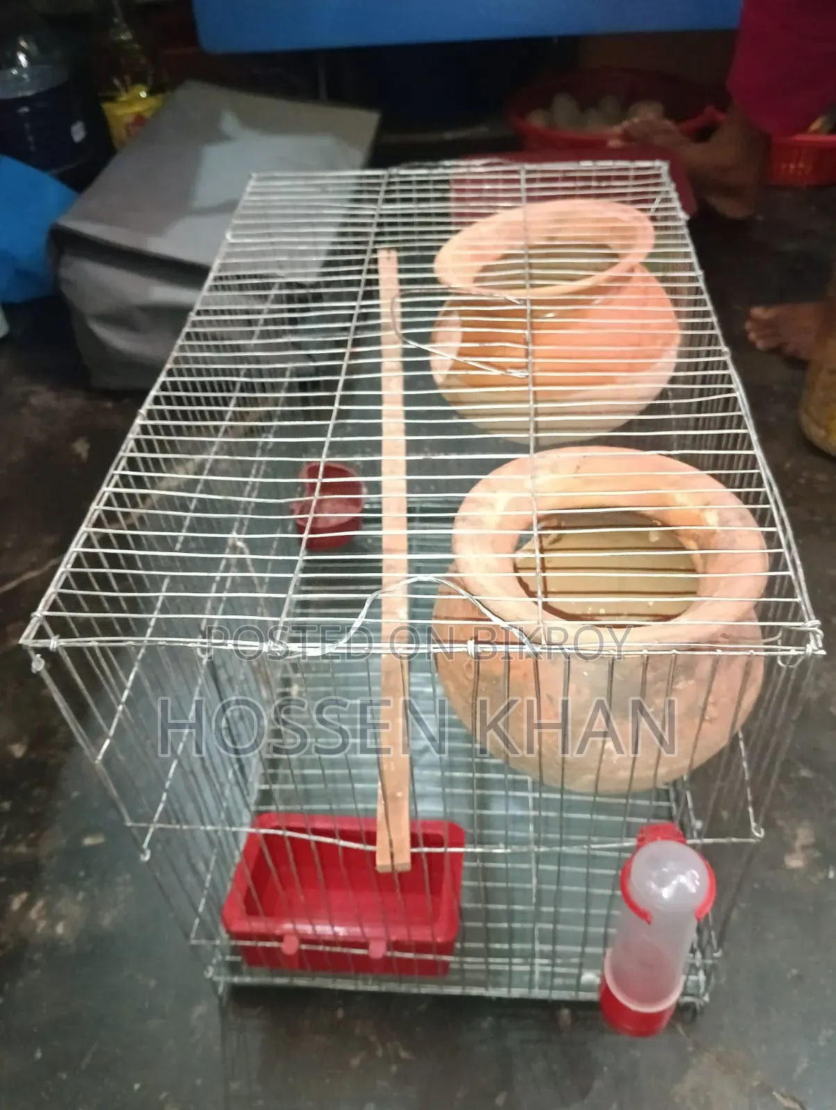 Bird Cage