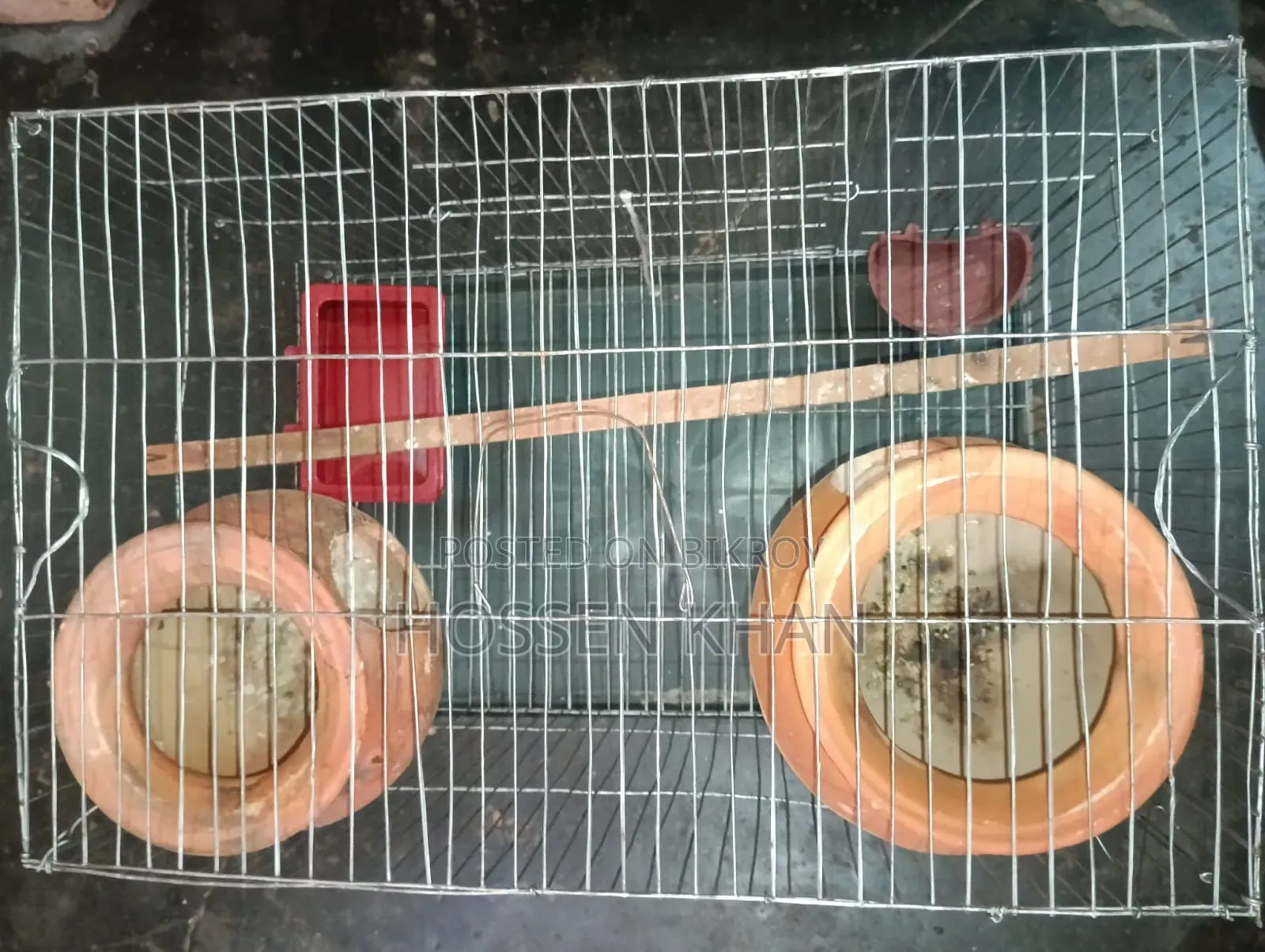 Bird Cage