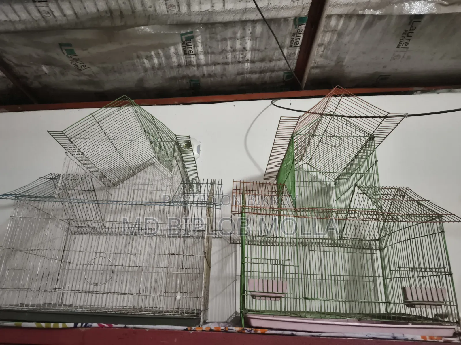 Bird Cage