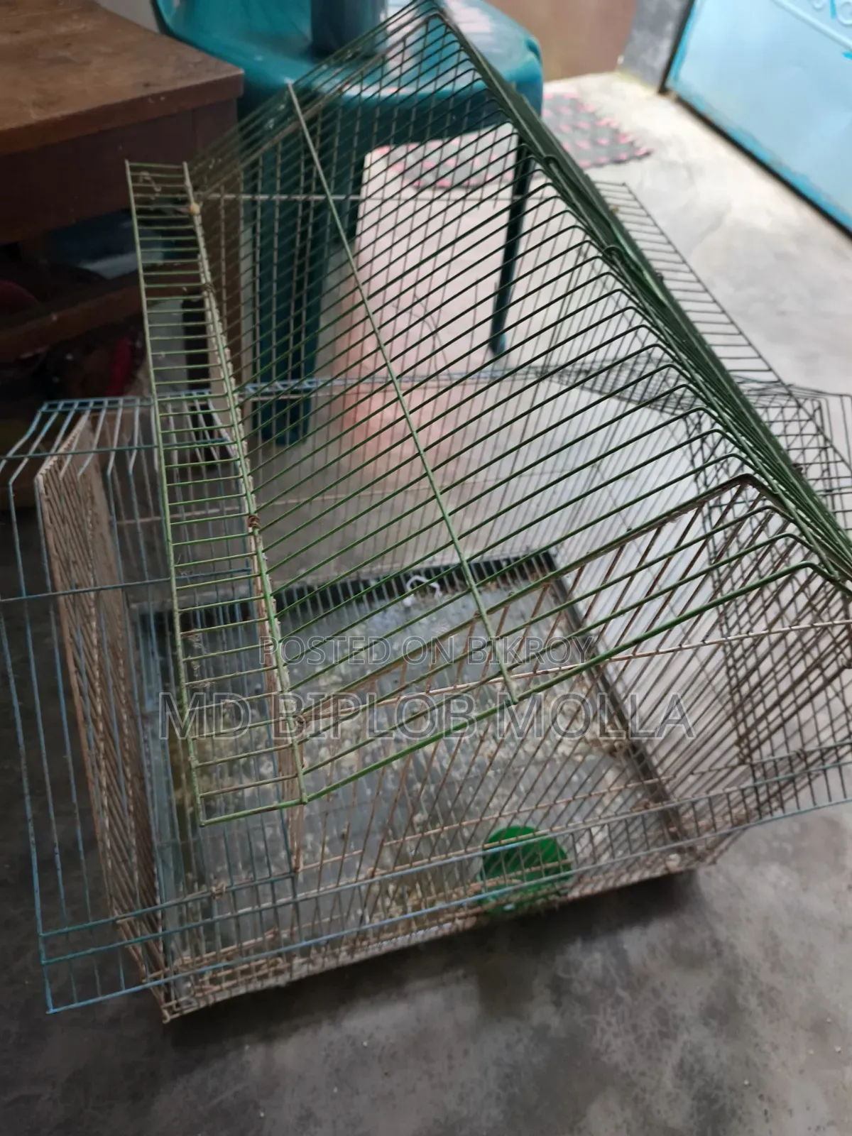 Bird Cage