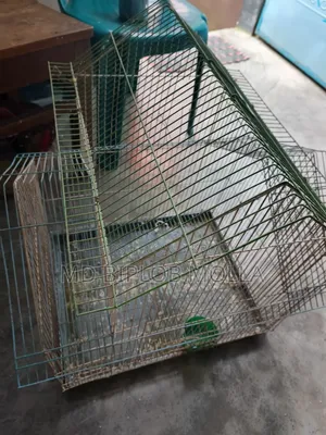 Bird Cage