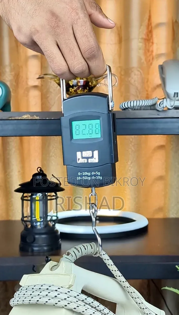 Digital Hanging Weighing Scale (50kg)