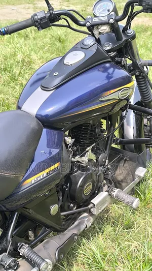 Bajaj Avenger 150 Street 2019 Blue