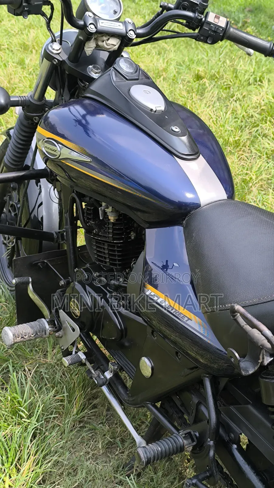 Bajaj Avenger 150 Street 2019 Blue