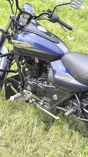 Bajaj Avenger 150 Street 2019 Blue