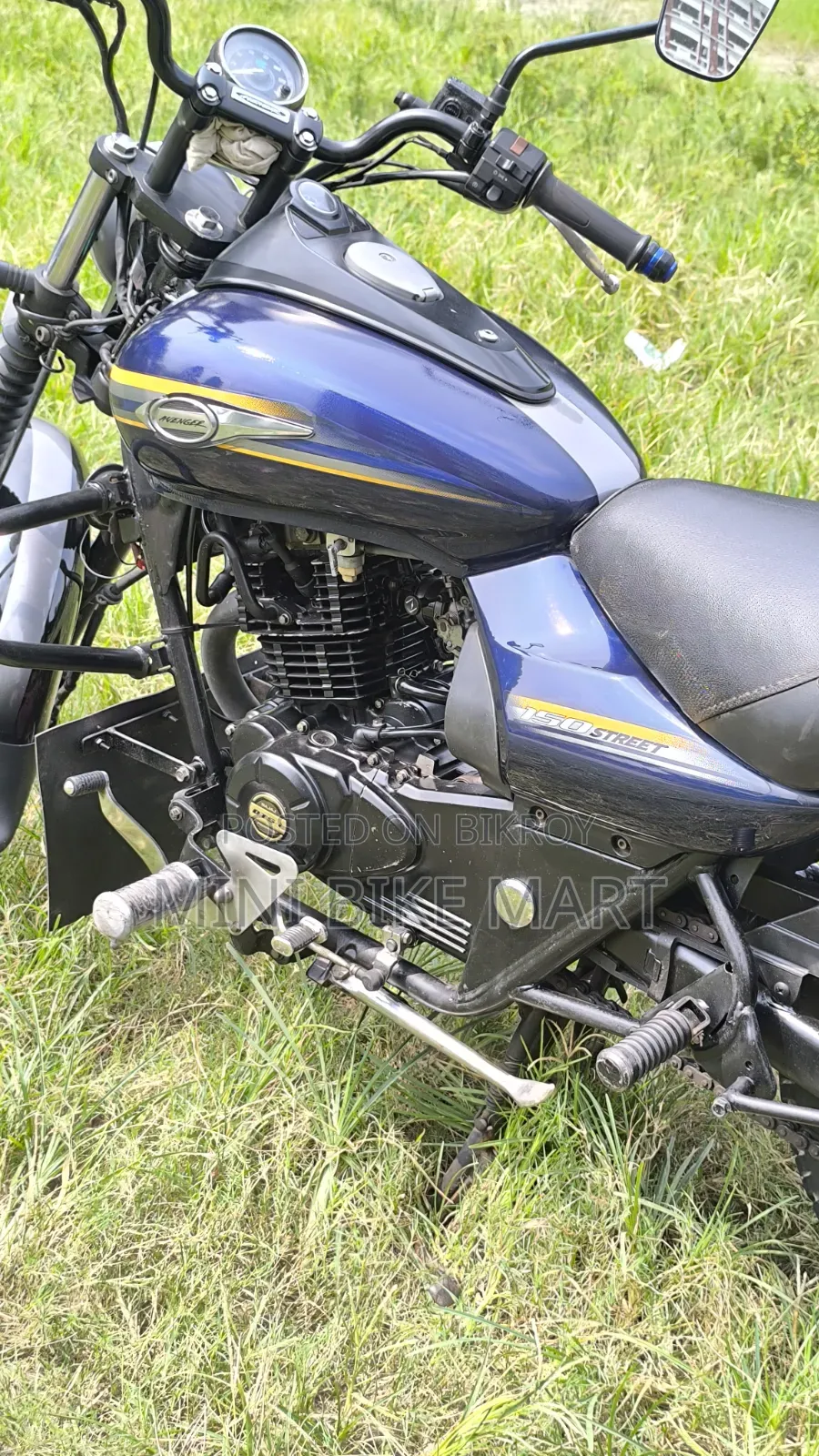 Bajaj Avenger 150 Street 2019 Blue