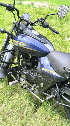 Bajaj Avenger 150 Street 2019 Blue