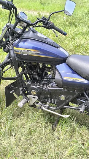 Bajaj Avenger 150 Street 2019 Blue