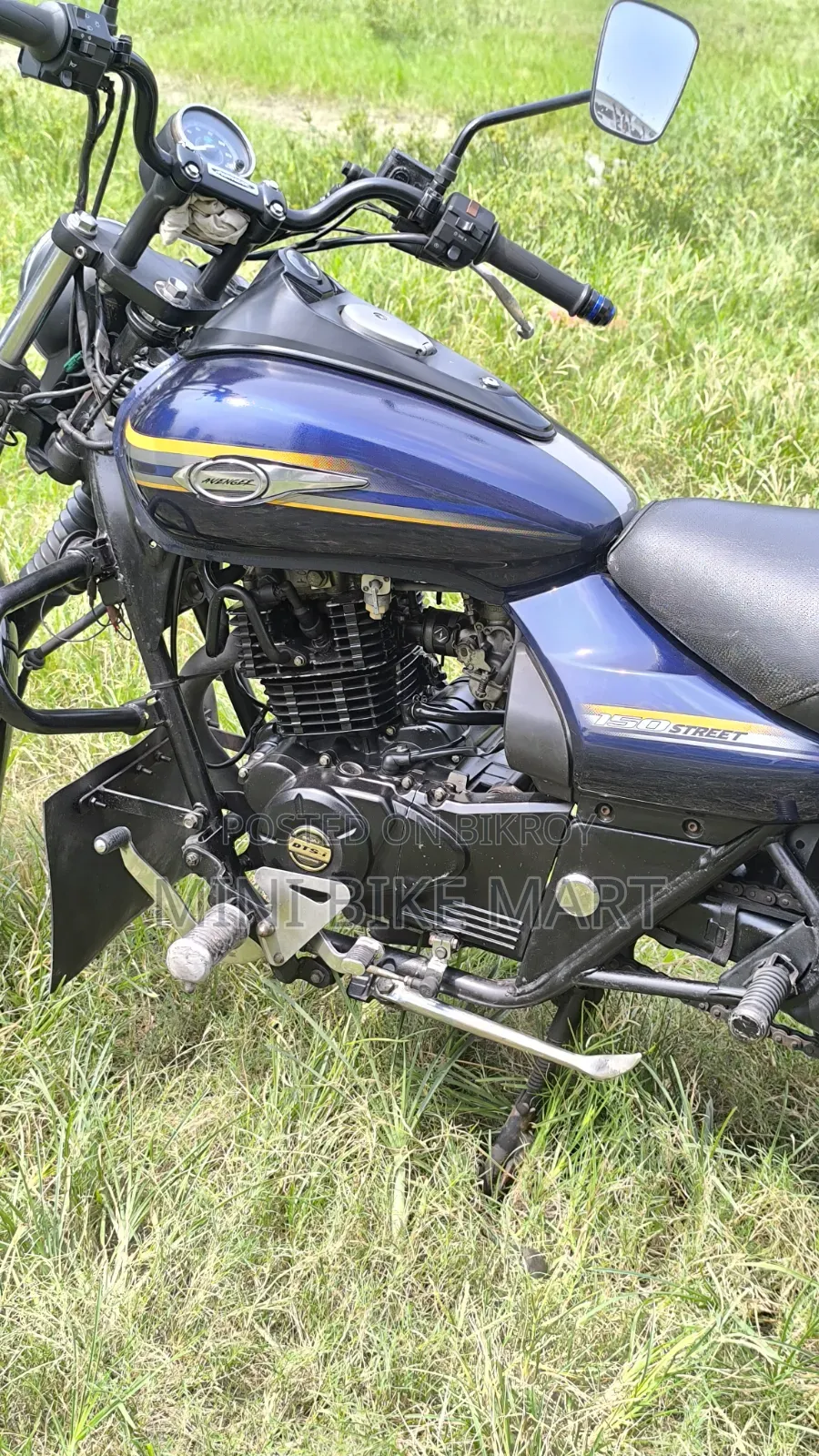 Bajaj Avenger 150 Street 2019 Blue