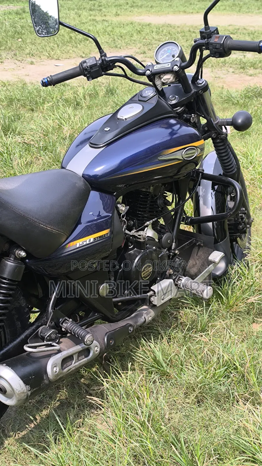 Bajaj Avenger 150 Street 2019 Blue