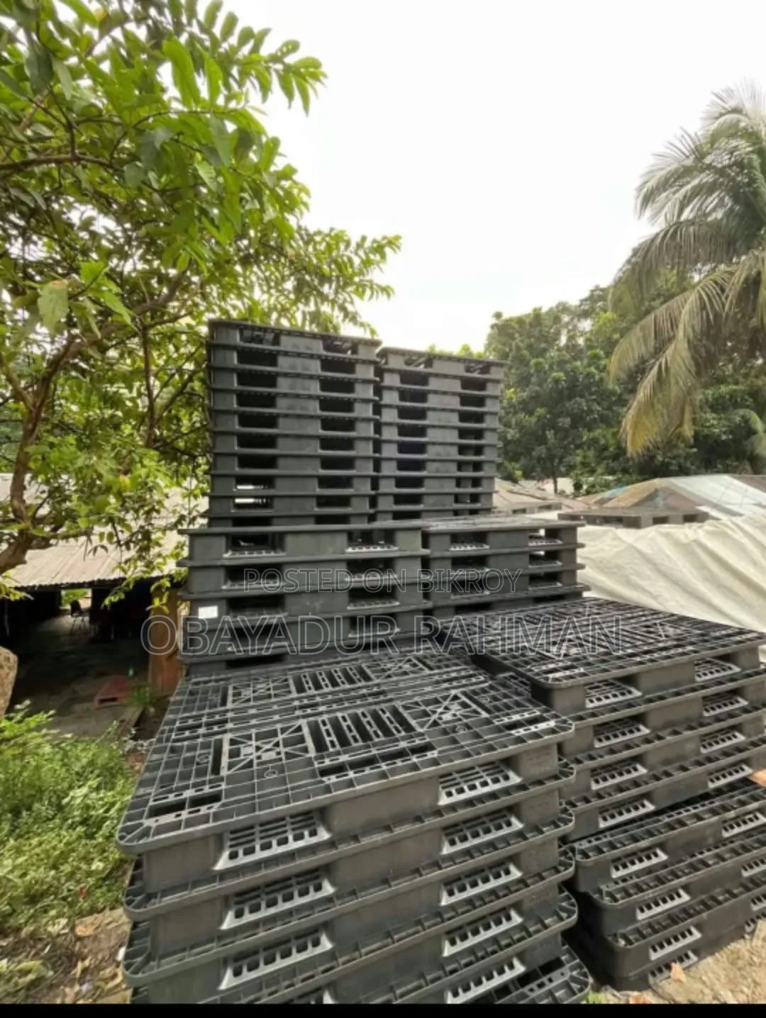 Plastic Plates for Sale