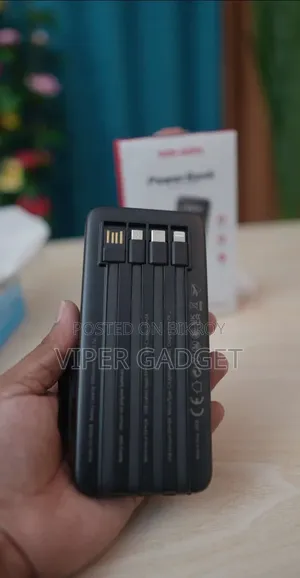 10,000mAh Power Bank - Power That Lasts!