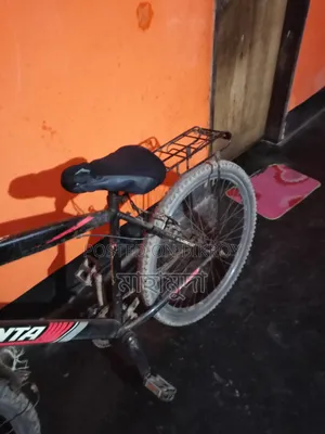 বাই সাইকেল