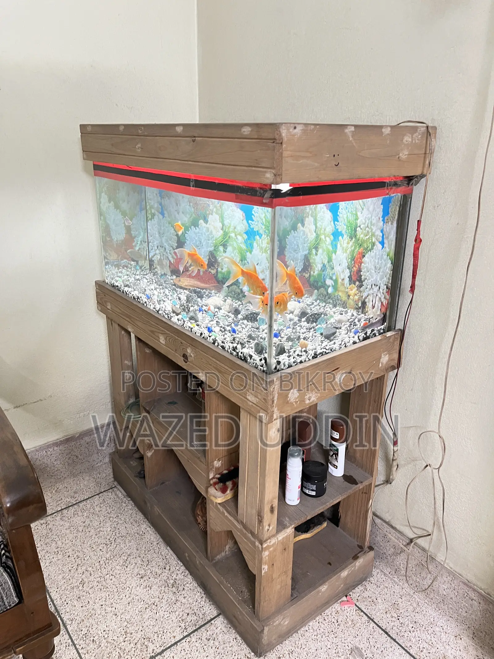 Aquarium Full Setup With Fish