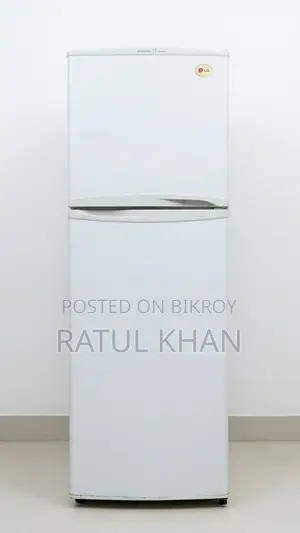 এলজি ডাবল ডোর রেফ্রিজারেটর - ফ্রেশ কন্ডিশন