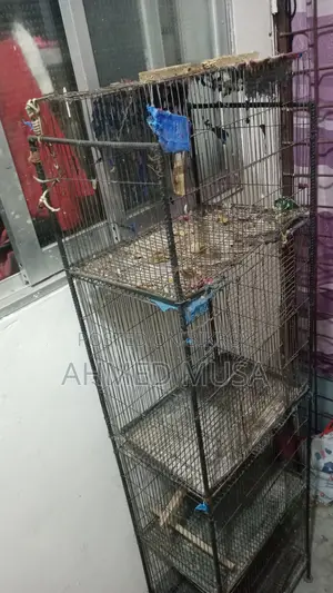 4-tier bird cage made with 4 iron rod frame cages