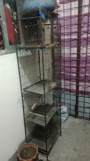 4-tier bird cage made with 4 iron rod frame cages
