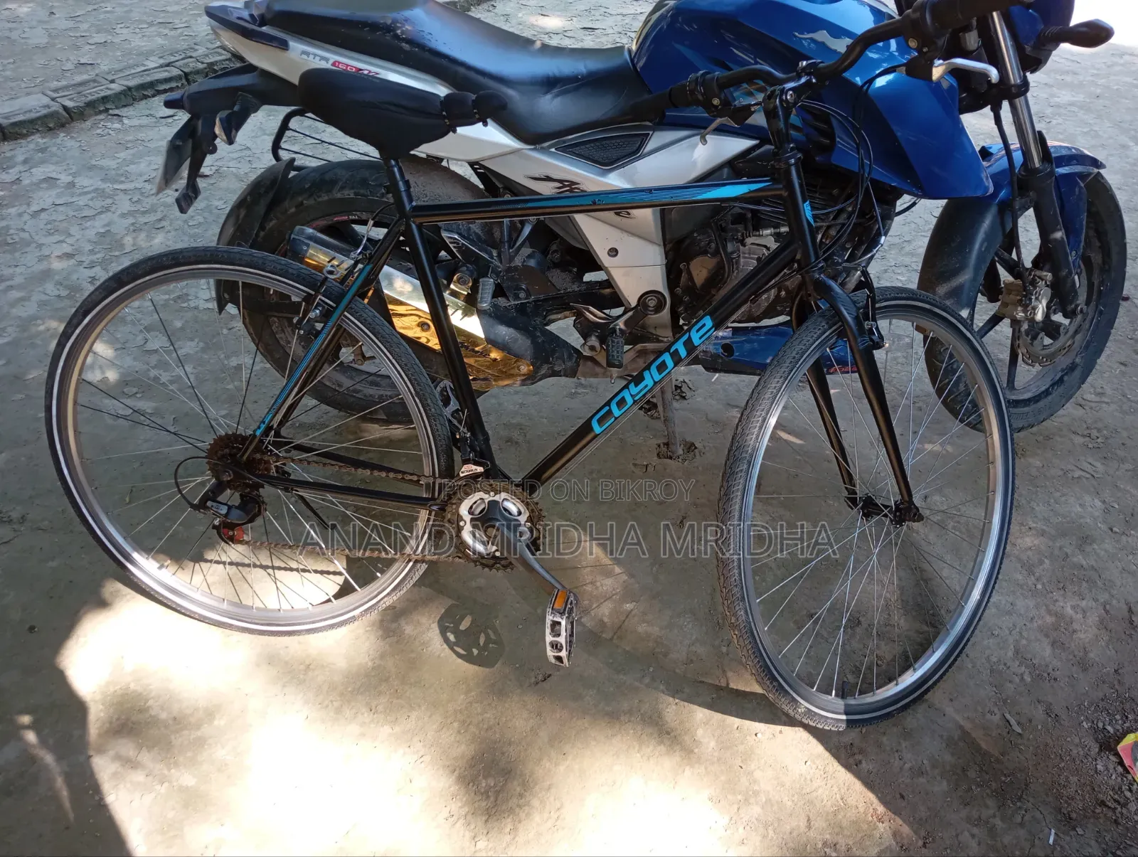 কয়োট সাইকেল