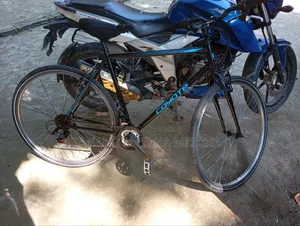 কয়োট সাইকেল