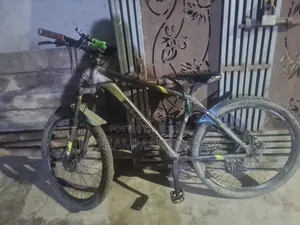 Phoenix Cycle