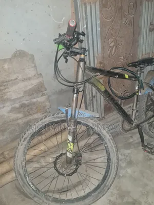 Phoenix Cycle