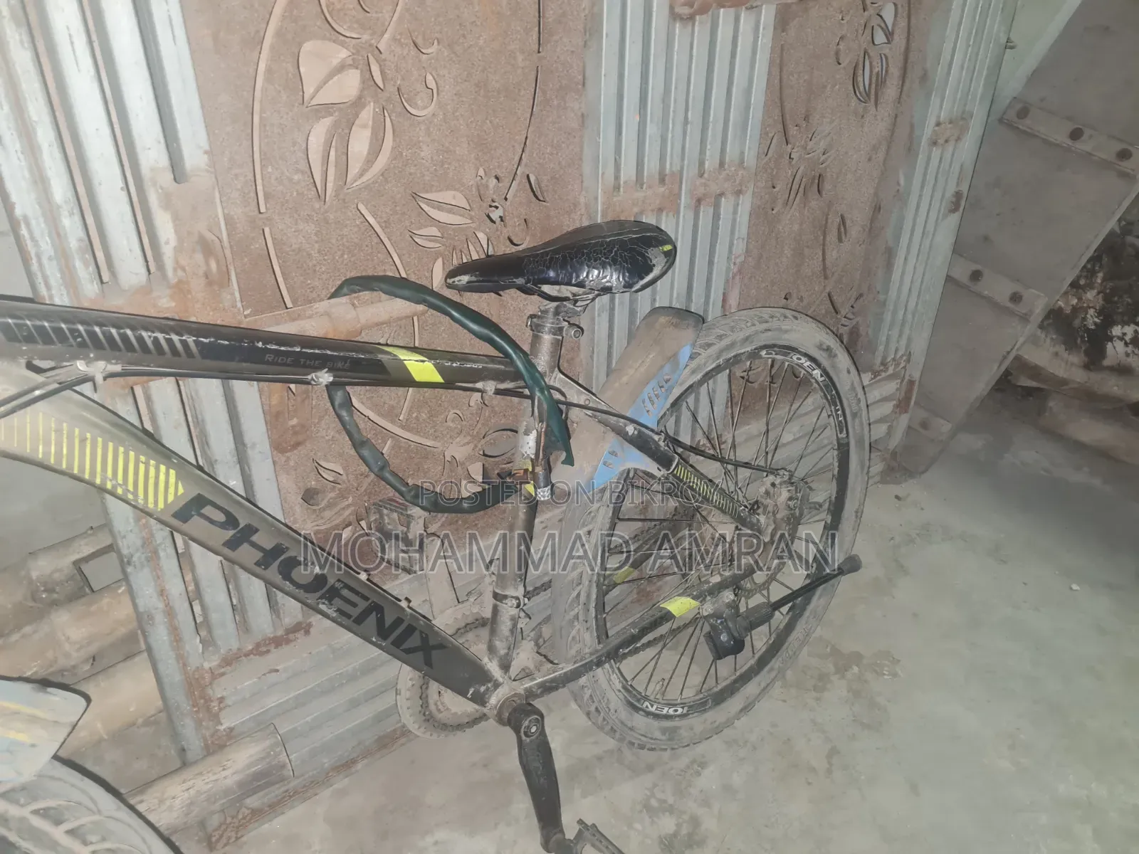Phoenix Cycle