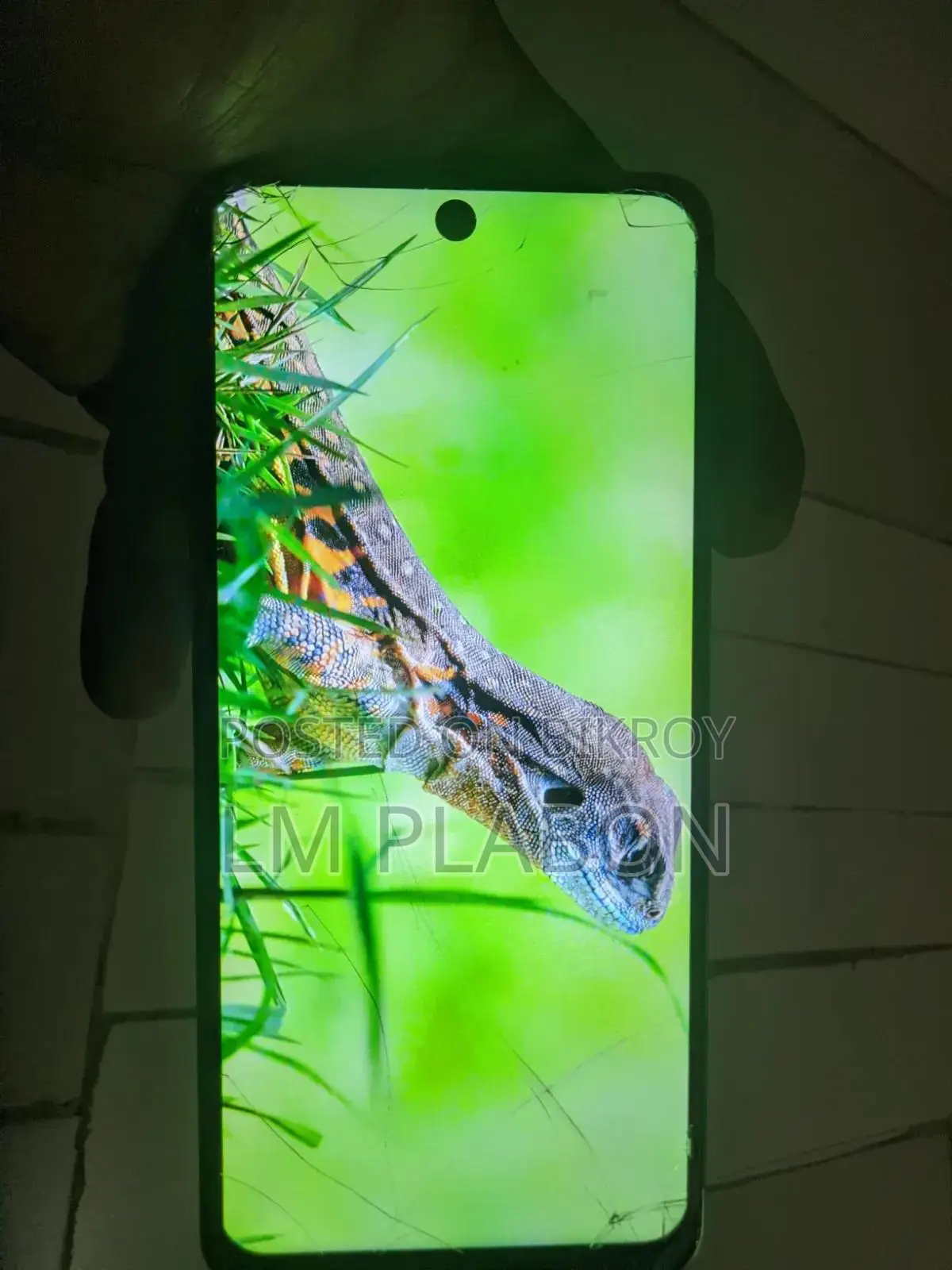ওয়ানপ্লাস নর্ড সিই ৩ লাইট ৫জি ১২৮ জিবি গ্রিন