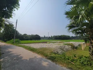 রাস্তা সহ জমি