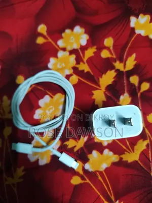 আইফোন ২০ ওয়াট ফাস্ট চার্জার