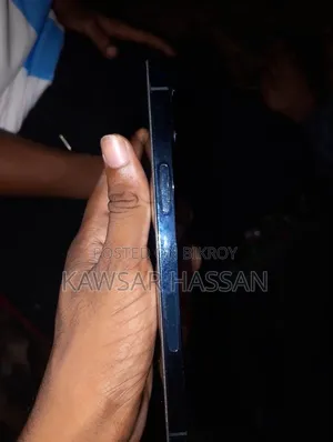 অ্যাপল আইফোন ১২ প্রো ম্যাক্স ১২৮ জিবি নীল
