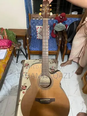 সেরা জাপান আমদানিকৃত গিটার ব্র্যান্ডের নাম তাকামিন