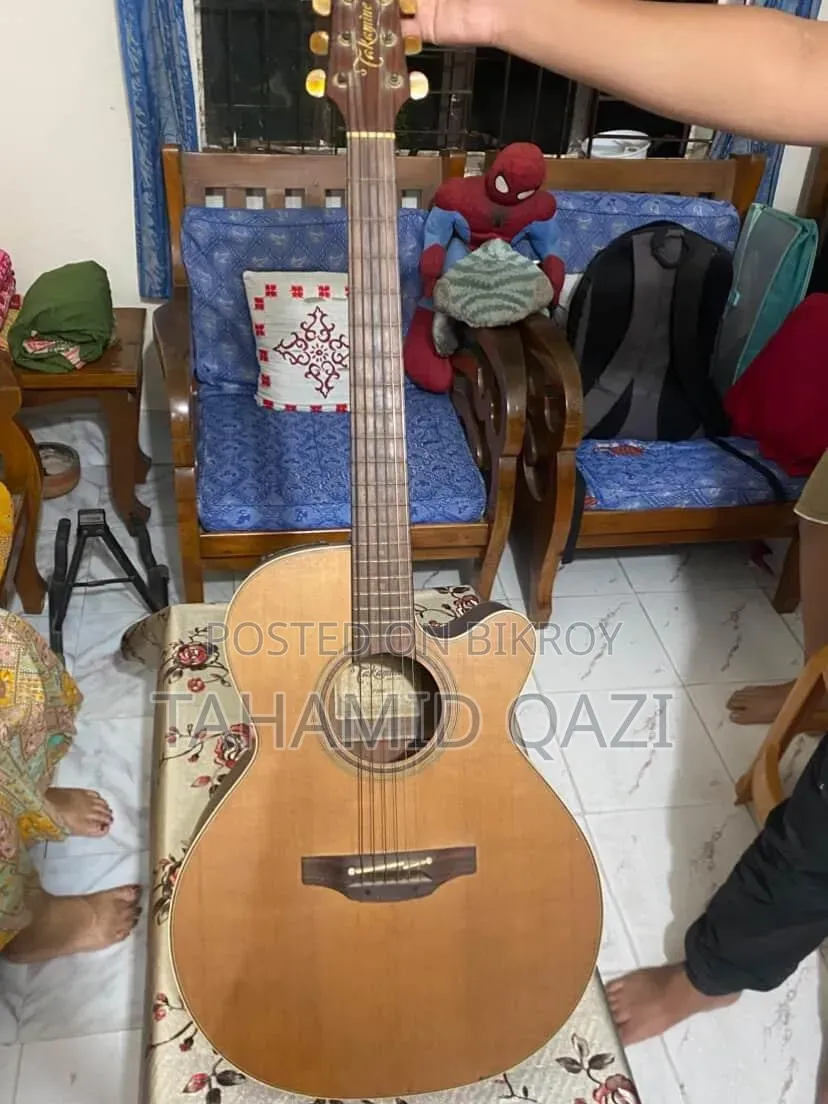 সেরা জাপান আমদানিকৃত গিটার ব্র্যান্ডের নাম তাকামিন