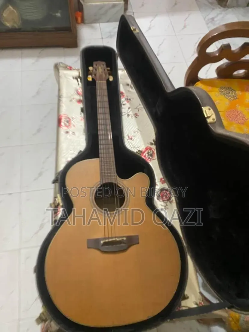 সেরা জাপান আমদানিকৃত গিটার ব্র্যান্ডের নাম তাকামিন