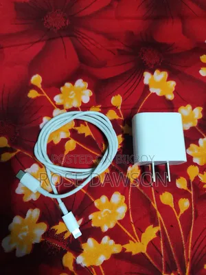 আইফোন ২০ ওয়াট ফাস্ট চার্জার